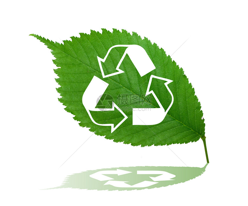 绿叶上的回收标志图片
