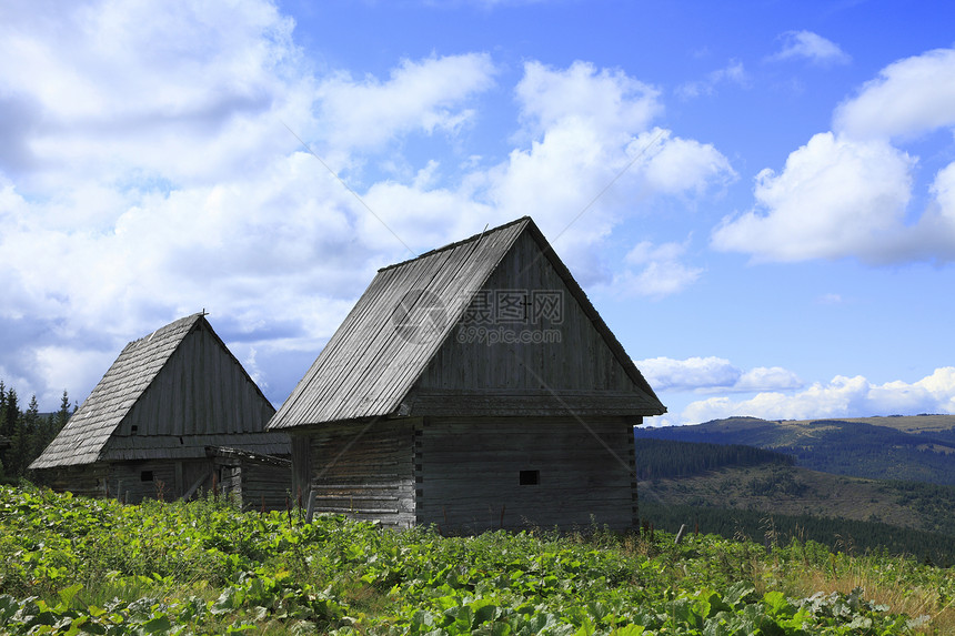 罗马尼亚传统木制木屋入口工匠山脉旅游房子村庄木材古铜色风景历史图片
