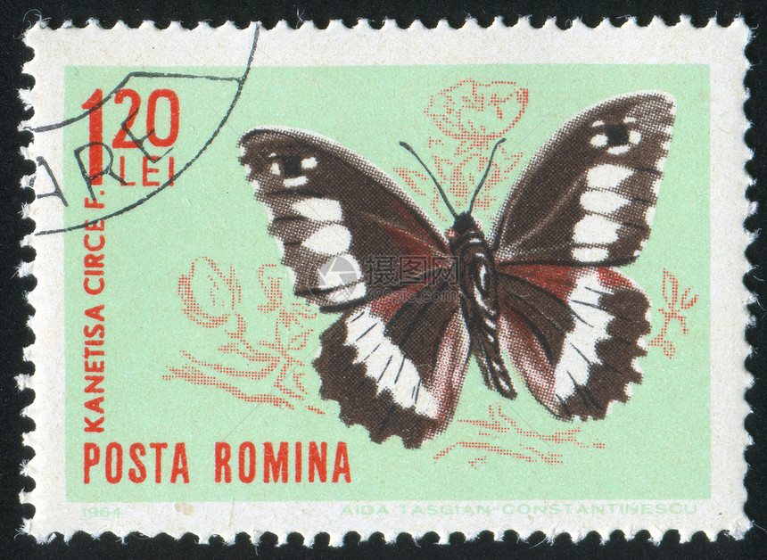 蝴蝶邮票动物信封历史性生物学古董明信片邮戳集邮热带图片