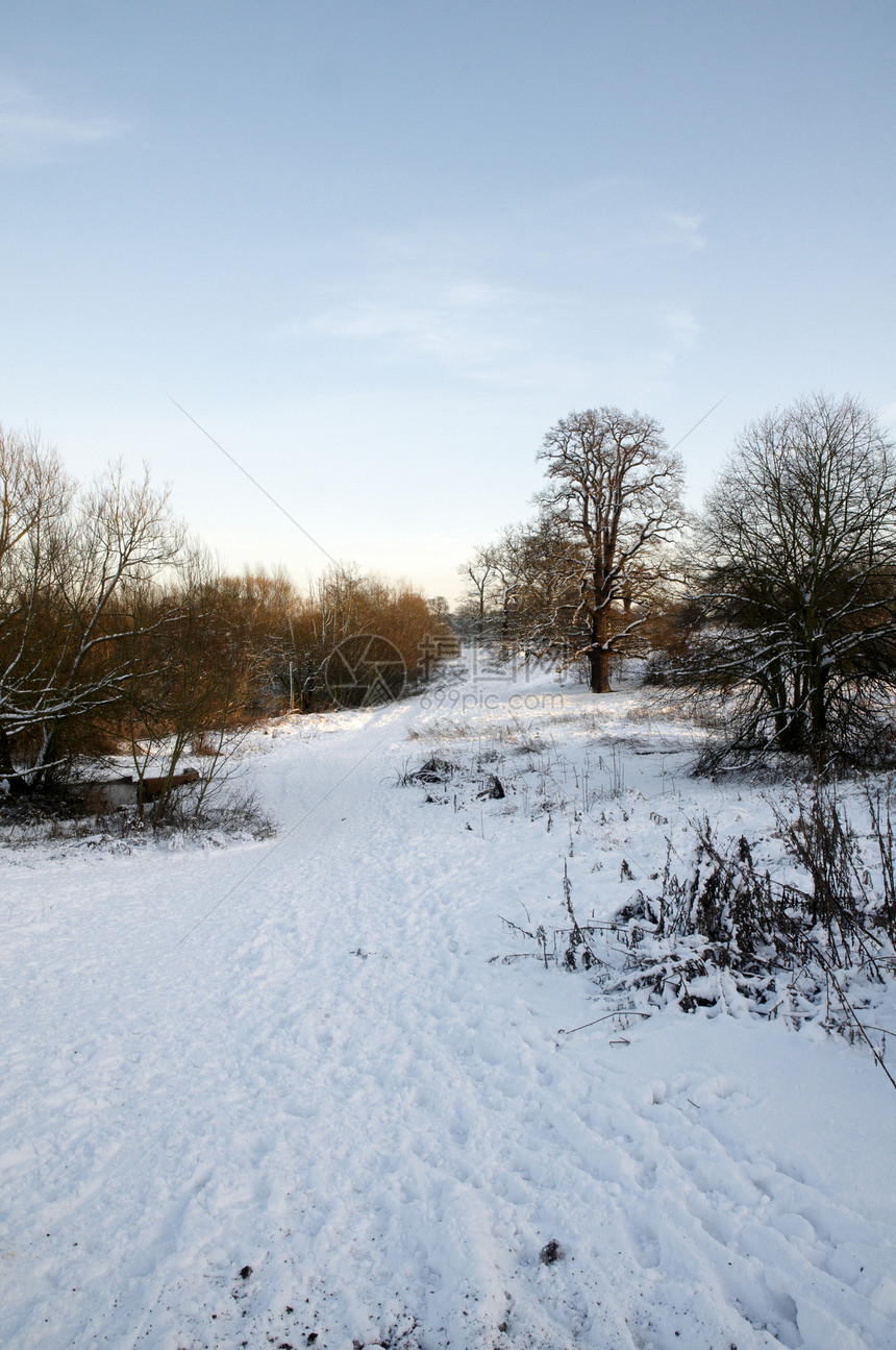 冬天季节国家场景风景天空天气树木降雪场地冻结图片