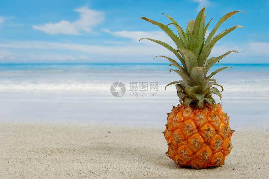 菠萝和异国海滩海浪地平线海洋植物假期橙子食物天空海岸享受图片