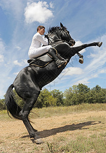 养马蓝色天空危险白色动物骑马黑色男人舞步运动背景图片