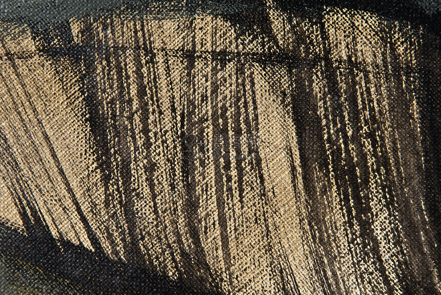 抽象背景墙纸作品材料帆布粮食绘画黑色纤维木板插图图片