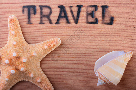 热贴贴贴邮票旅行上诉广告木板海星休息壁板冲压木头旅游软体动物高清图片素材