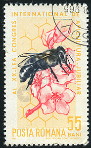 巴克法斯特蜜蜂蜂窝古董花瓣蜜蜂眼睛集邮邮票昆虫邮戳邮件历史性背景
