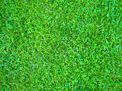 青质足球墙纸环境纹理公园院子植物群地面草原场地背景图片