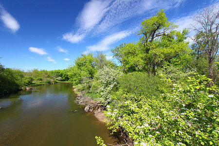 黑鹰泉森林保护区积云蓝色的高清图片