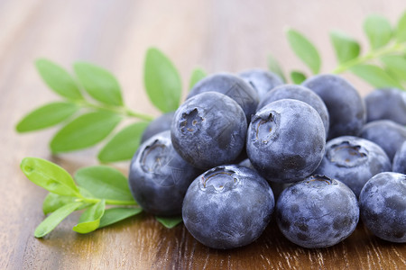 新鲜蓝莓水果叶子蓝色饮食绿色浆果食物新鲜的高清图片素材
