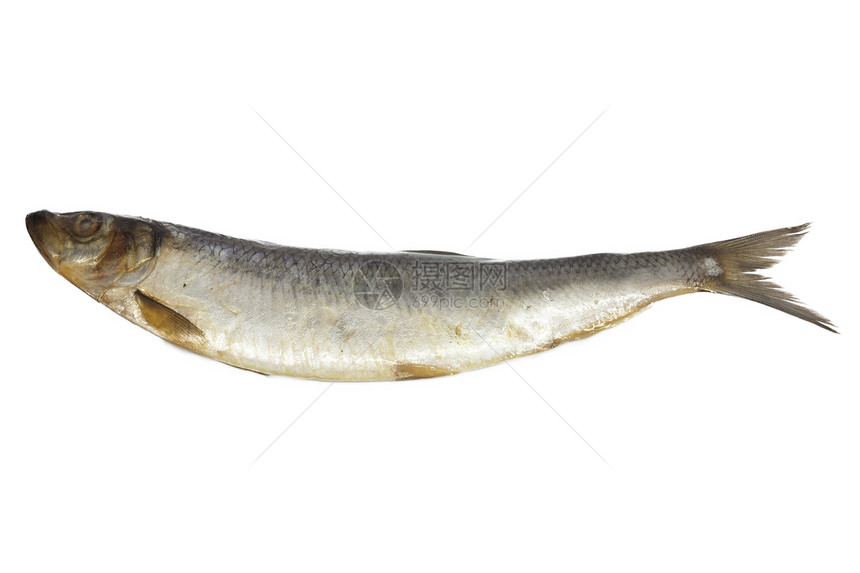 白底的咸鱼皮肤盐渍白色钓鱼食物妻子海鲜尾巴鲱鱼图片