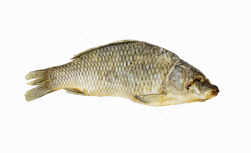 白底白底孤立的干鱼午餐眼睛鳕鱼营养白色蟑螂钓鱼条子海鲜尾巴图片