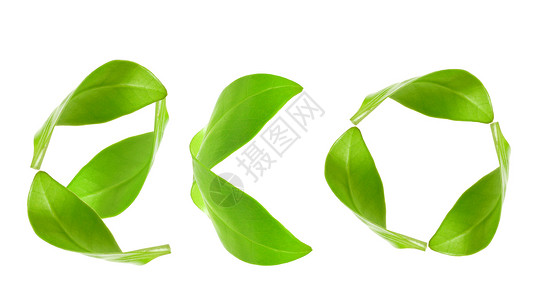 生态学生态环境白色拼写绿色气候树叶活力叶子背景图片