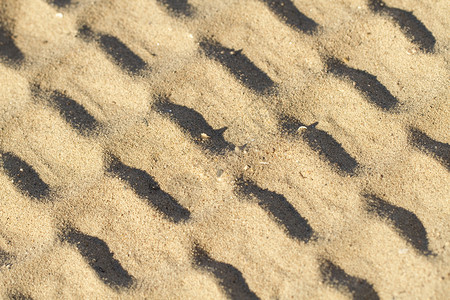 沙沙中的模式贝壳沙粒曲目海滩碎片沙子设计背景图片