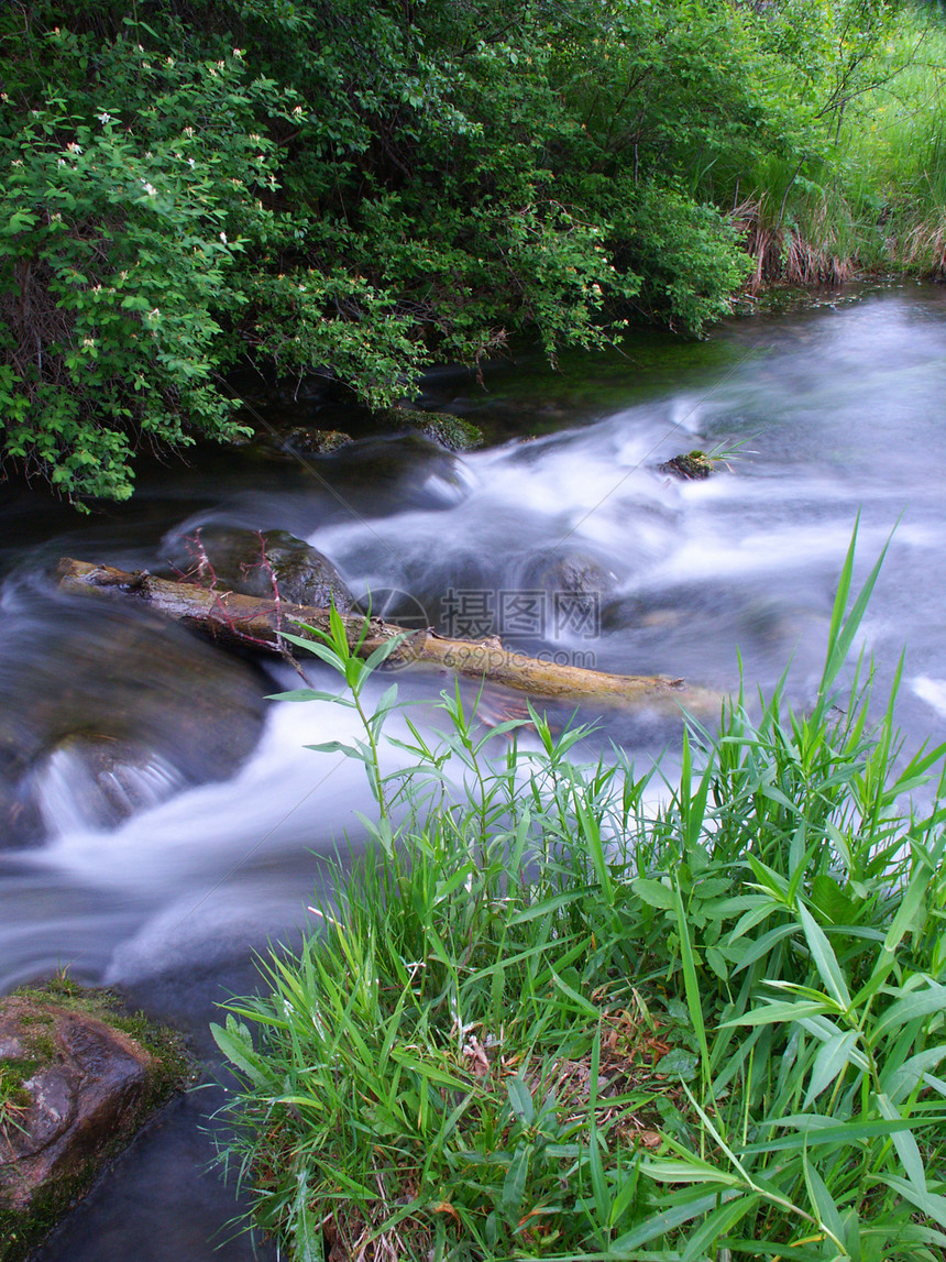 布拉夫溪州自然区威斯康星州浅滩溪流波纹栖息地瀑布环境公园流动植被运动图片