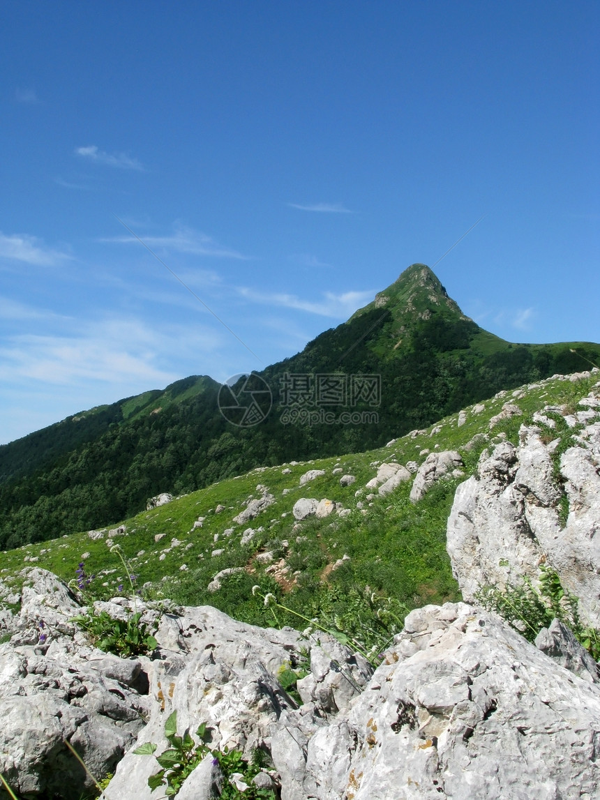 山山脉植物群植被青菜文件风景草甸天空解脱高原全景图片