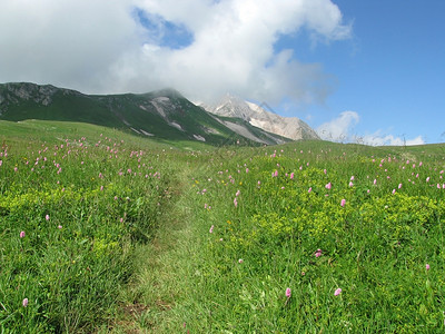 山山脉高山青菜风景岩石山丘草甸植物生物旅行路线高清图片