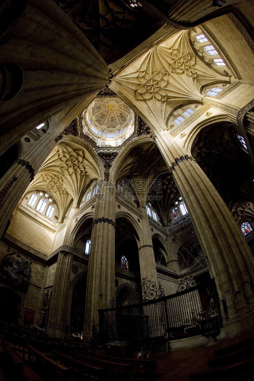 西班牙萨拉曼卡 卡斯蒂利亚和里昂大教堂内地天花板历史建筑物精神景点柱子世界教堂宗教历史性图片