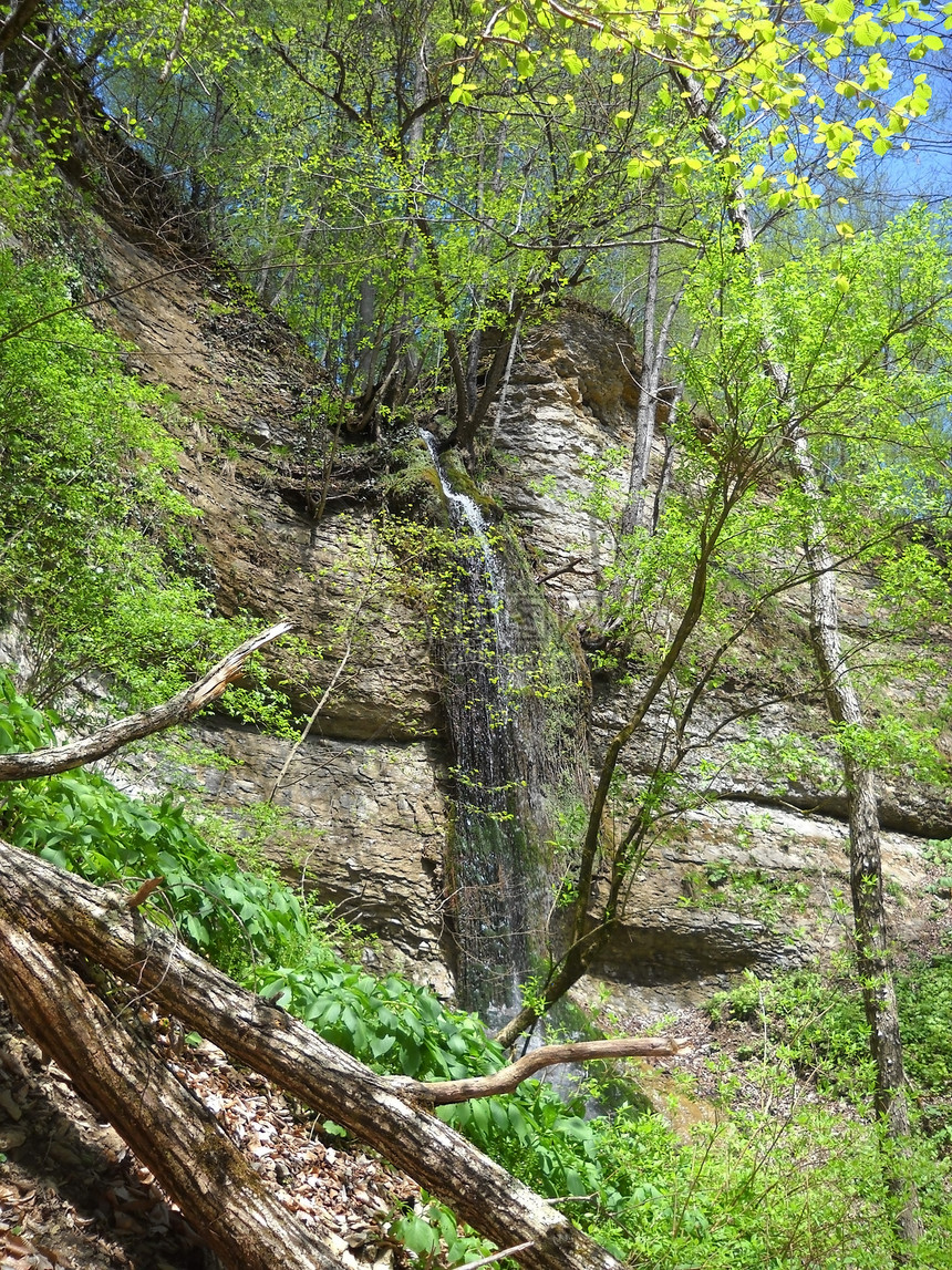 瀑布木头游览圆形岩石溪流对象水分渠道自然保护区全景图片