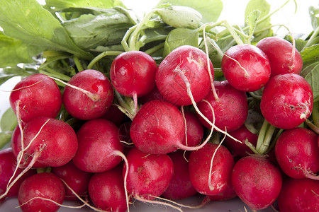 新鲜萝卜蔬菜树叶红色食物背景图片