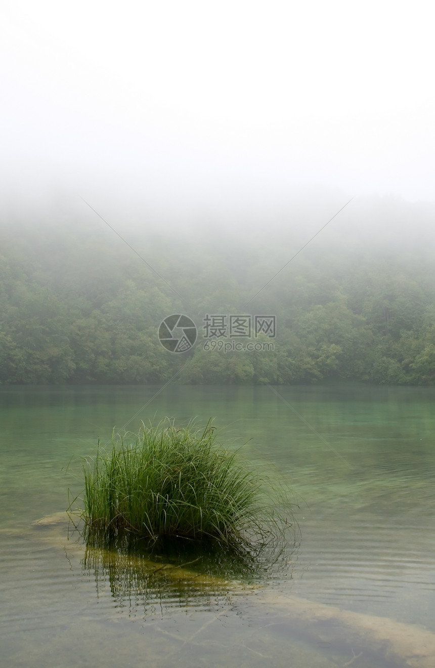 江河衬套流动风景天气公园阴霾天空薄雾森林木头图片