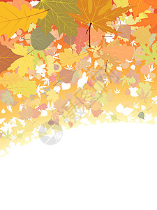 秋天离开背景橙子季节性叶子白色黄色边界光束金子活力角落背景图片