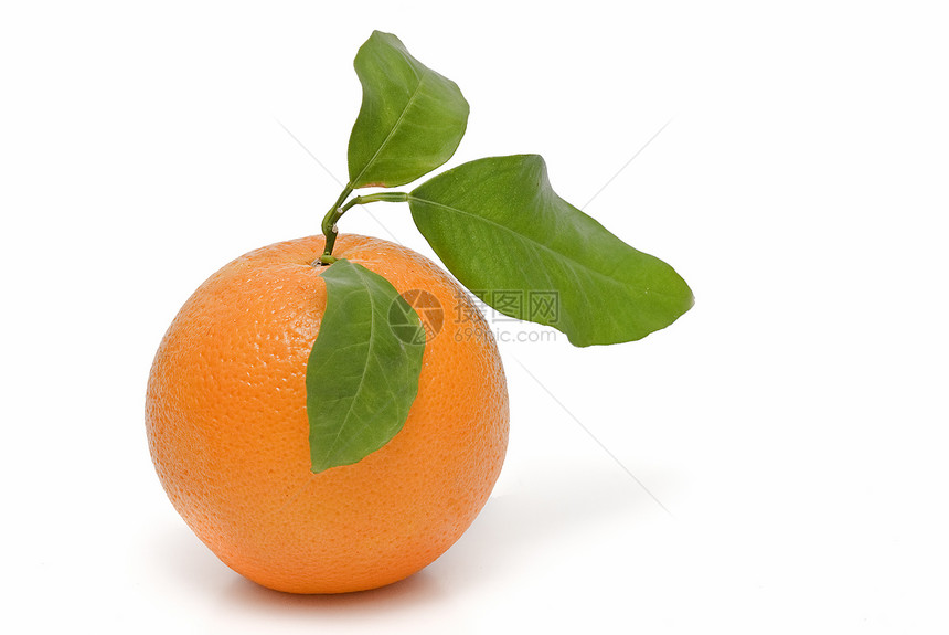 西班牙橘子果汁维生素农业收获流感叶子糖果饮食食物树叶图片