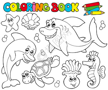 海洋动物的彩色簿 2背景图片