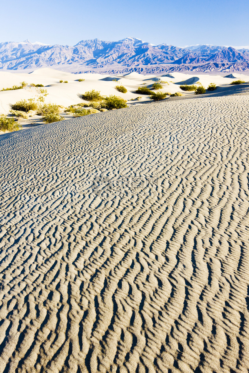 卡利福恩死亡谷国家公园水井沙沙沙沙沙丘世界沙漠起伏旅行风景干旱流沙山脉外观沙丘图片