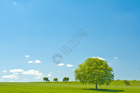 蓝色绿色的天空和云彩草地时段场地曲目农业自由天气黄金背景图片