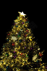 圣诞树照明气氛外观背景图片