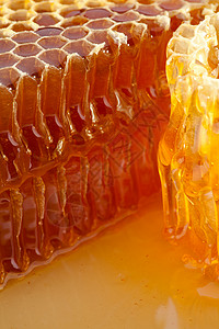 蜂巢蜂窝蜂窝和蜂蜜维生素黄色蜂巢花蜜橙子食物营养金子蜂蜡棕色背景