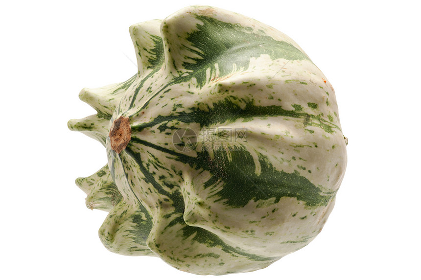 在白色背景中被孤立的多彩南瓜工作室宏观生态食物季节葫芦摄影水果植物蔬菜图片