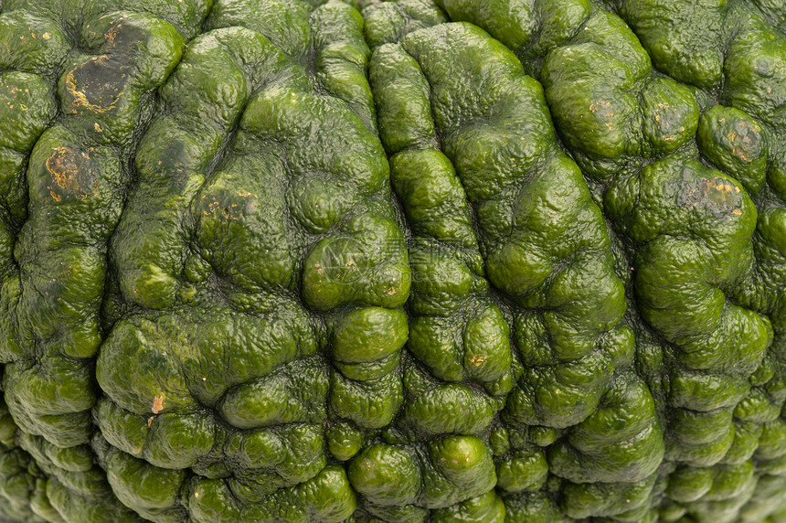绿南瓜的背景植物绿色水平蔬菜摄影季节生态宏观水果食物图片