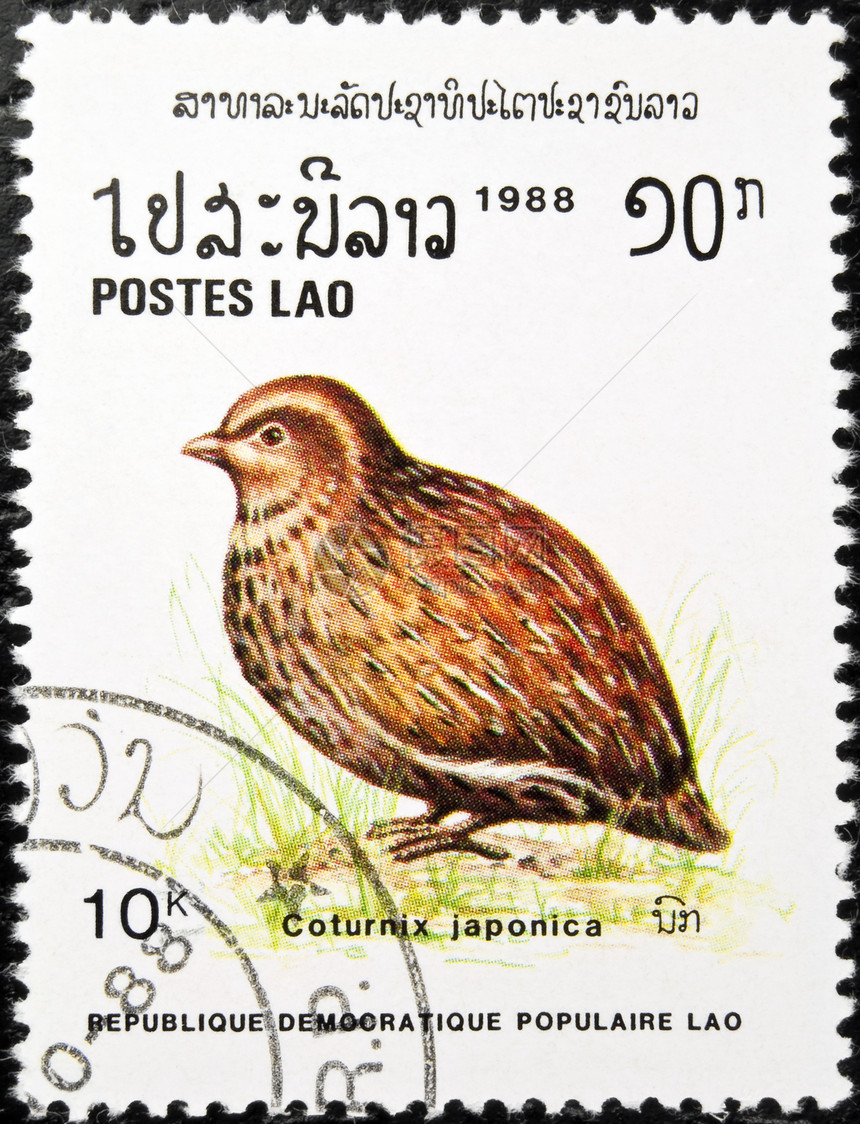 日本盖尔鸟章图片