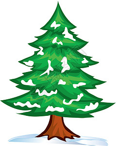 圣诞树森林绿色树干白色松树背景图片