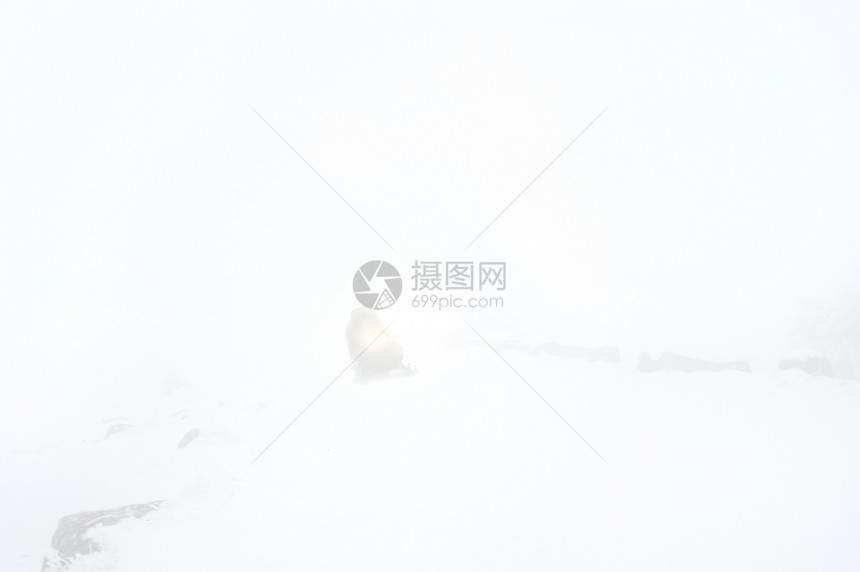 路上的雪雪交通天气运输滑雪风暴漂移挡风玻璃冒险雪地漂流图片