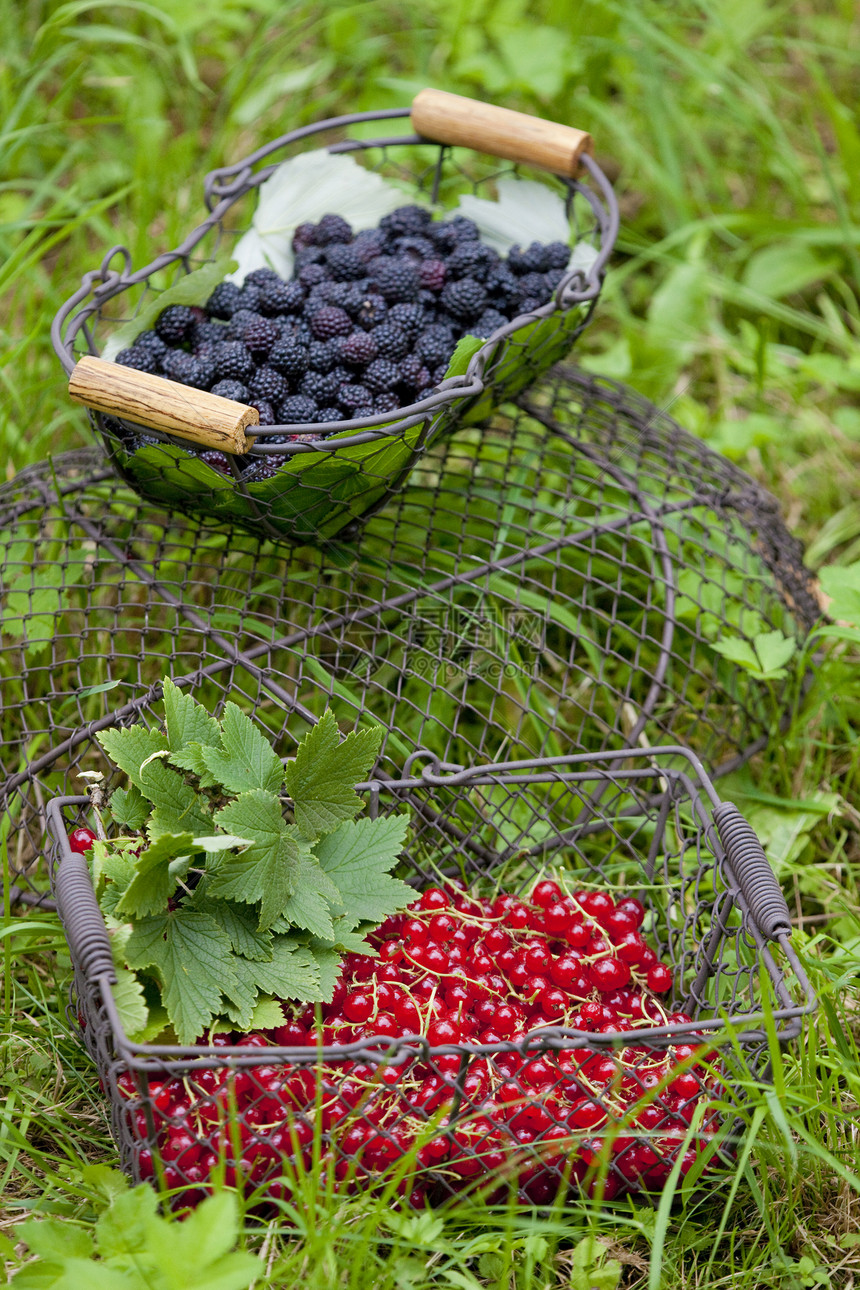 以水果为篮子浆果种植维生素食品静物营养外观食物图片