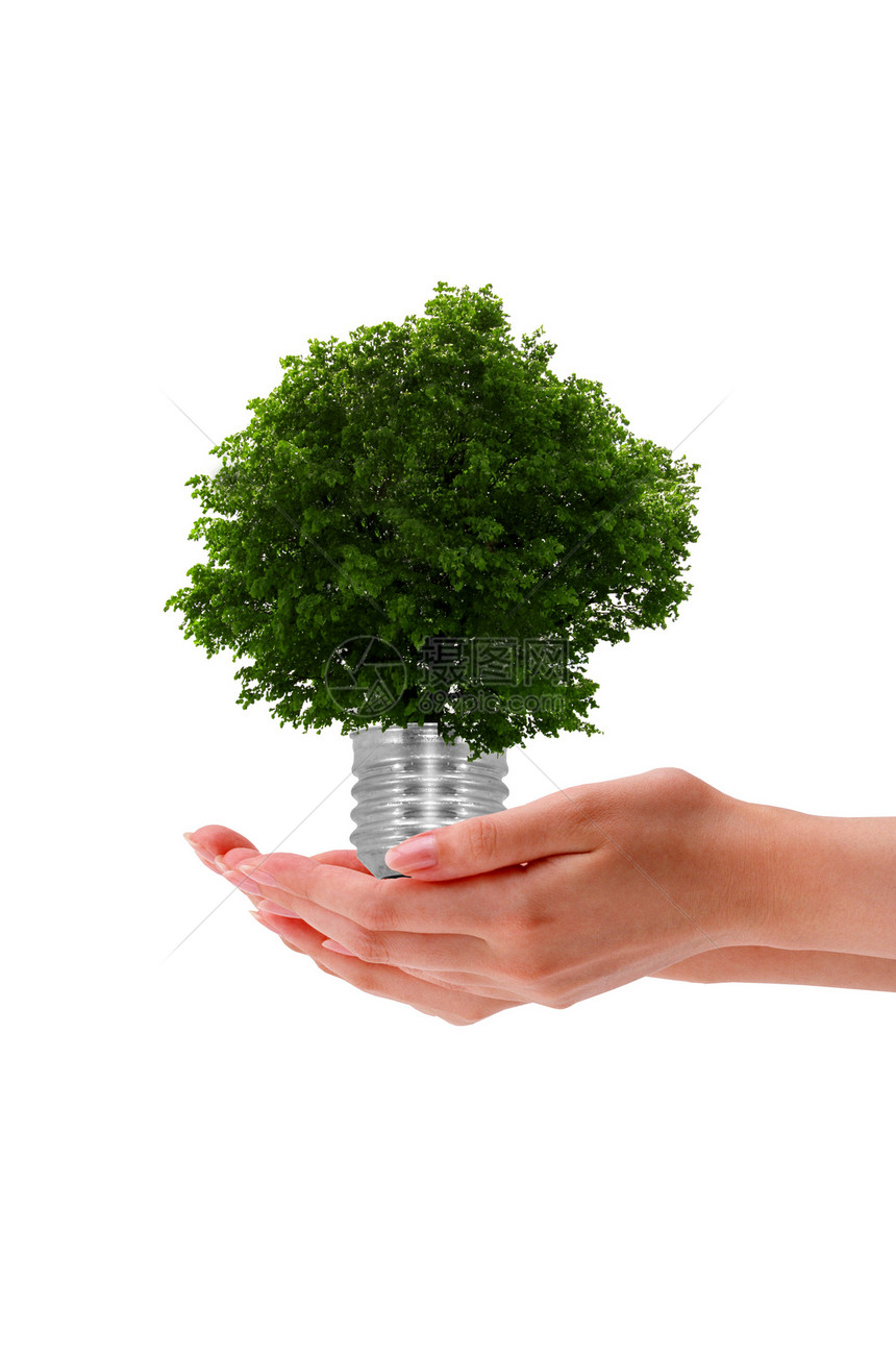 握着一棵树的手全球坡度生长灯泡行星手臂生态环境绿色活力图片