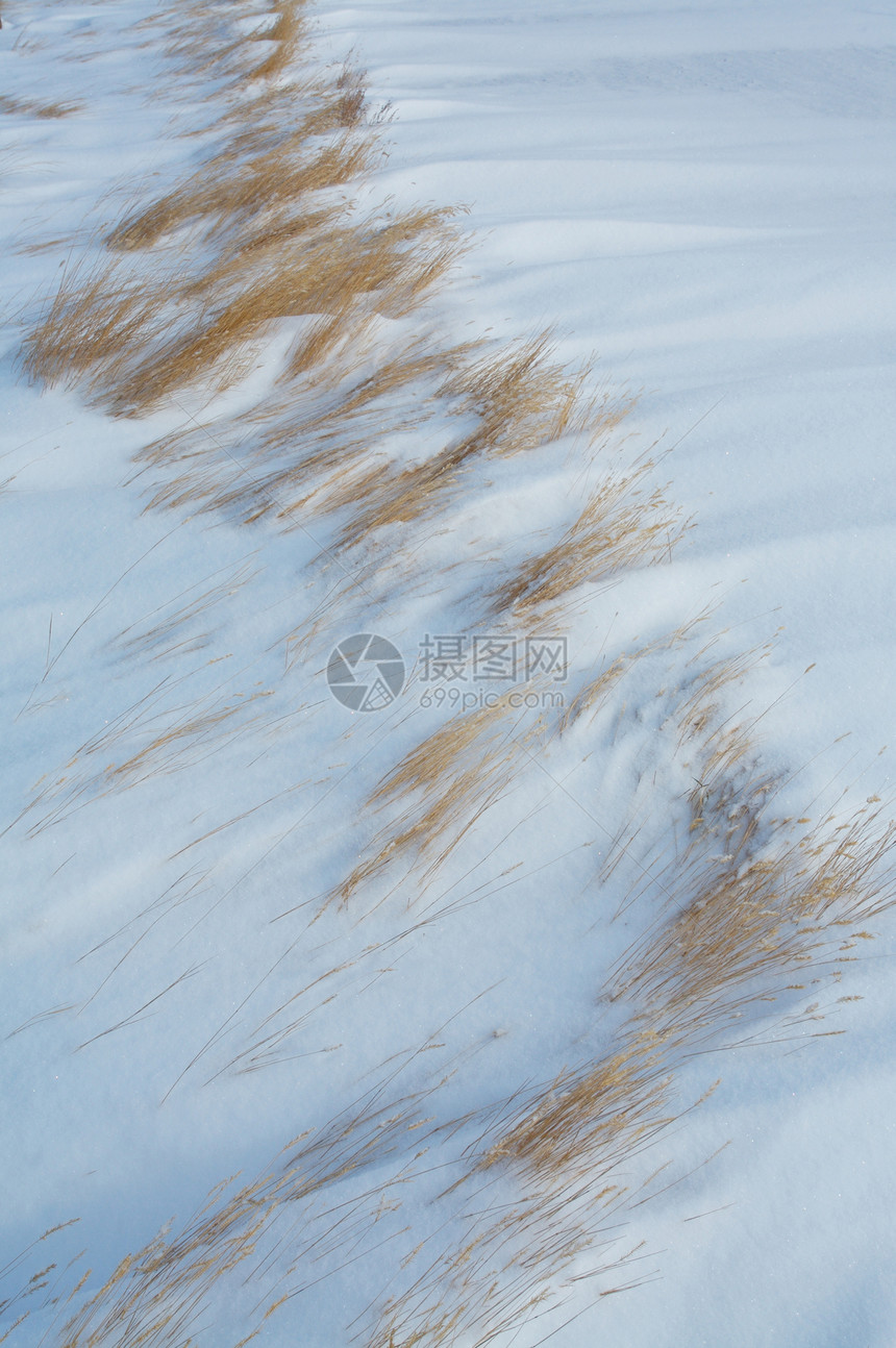 风吹雪时的青草雪堆草原冻结漂移图片