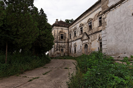 建筑大楼废墟树木墙壁建筑学风化跑步房子衰变大厦财产背景图片