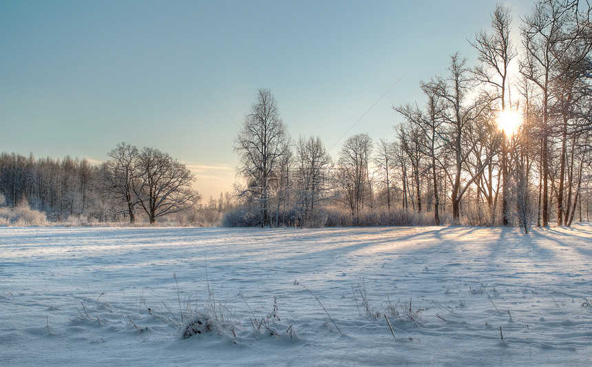 冬季太阳国家黑色树木白色多蓝色乡村荒野刷子漂移图片