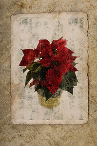 带圣诞星的格朗吉壁纸艺术古董卡片星星墙纸乡村照片框架背景图片