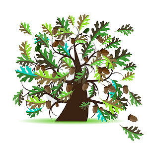 橡树 夏季艺术黑色绿色绘画橡子叶子植物插图季节森林插画