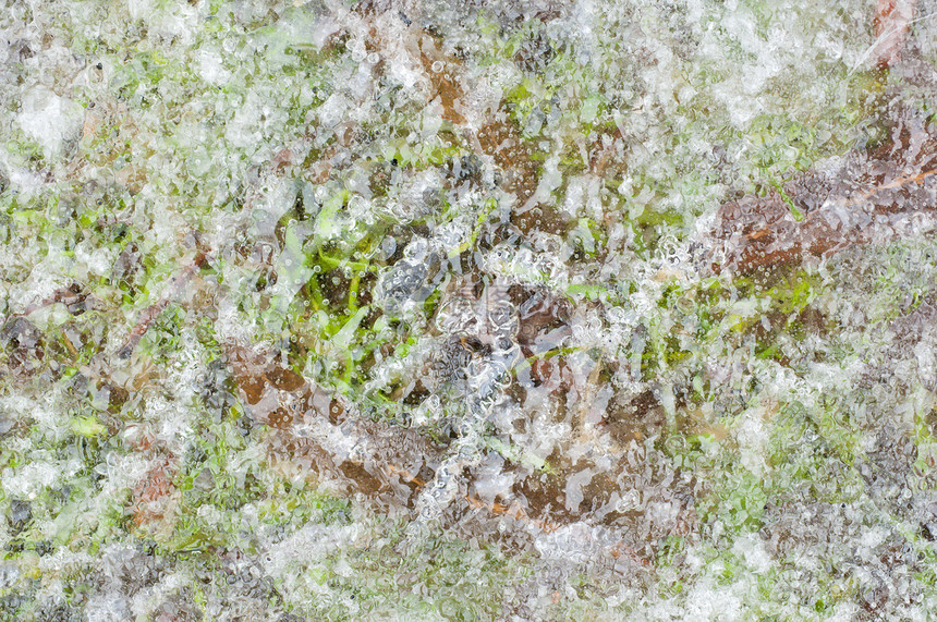 绿草和棕叶上冻结的雨水雨图片