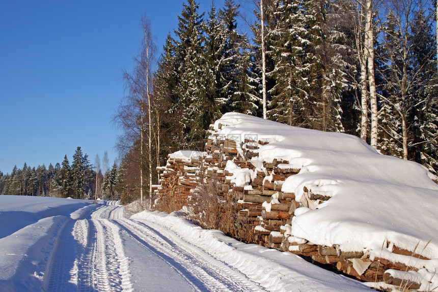 冬季森林道路运输木材原木已准备就绪图片