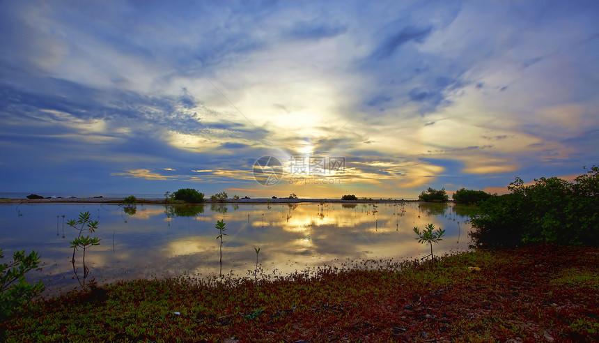 博内尔湖湖晴天阳光天际地平线天空日落植物反射太阳图片