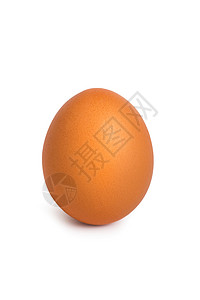 蛋惊喜小路椭圆奶制品动物学母鸡脆弱性生活产品主食背景图片