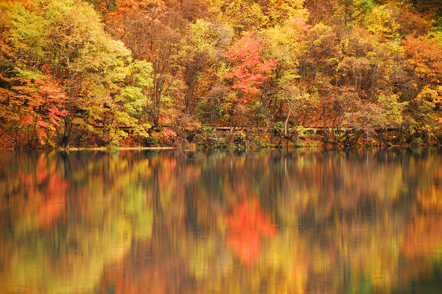 秋季反思红色树叶反射叶子镜像绿色观光水池图片