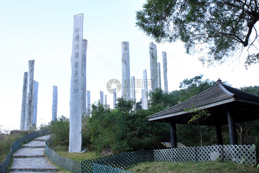 智慧路径智力游客小路棕褐色木头哲学佛经绿色观光旅行图片