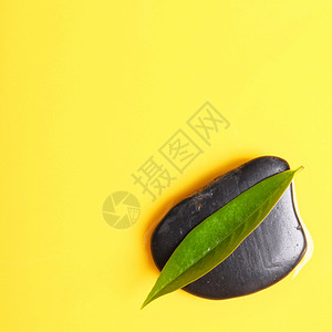SPA 水疗静物草本植物文化草药绿色治疗石头卡片冥想树叶背景图片