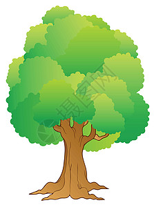 大树 有绿色树顶背景图片